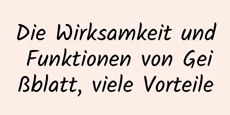 Die Wirksamkeit und Funktionen von Geißblatt, viele Vorteile