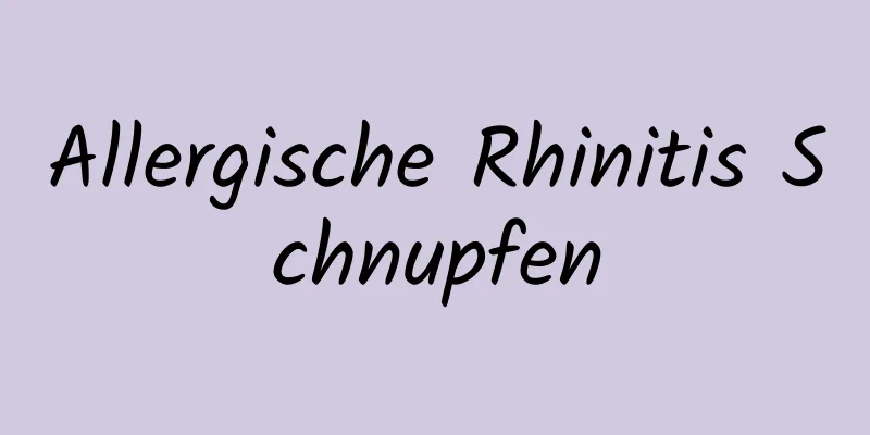 Allergische Rhinitis Schnupfen