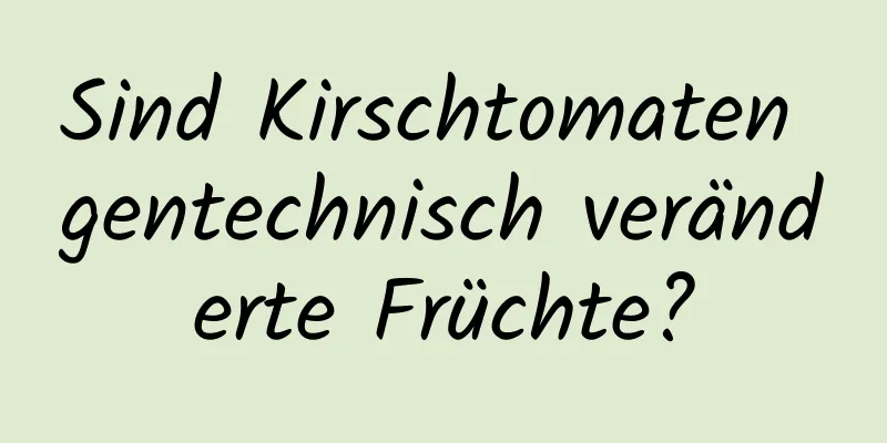 Sind Kirschtomaten gentechnisch veränderte Früchte?