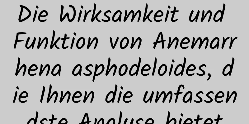 Die Wirksamkeit und Funktion von Anemarrhena asphodeloides, die Ihnen die umfassendste Analyse bietet