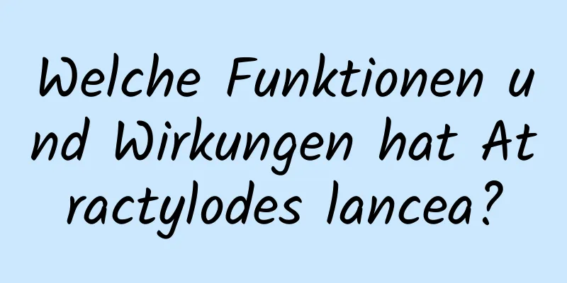 Welche Funktionen und Wirkungen hat Atractylodes lancea?