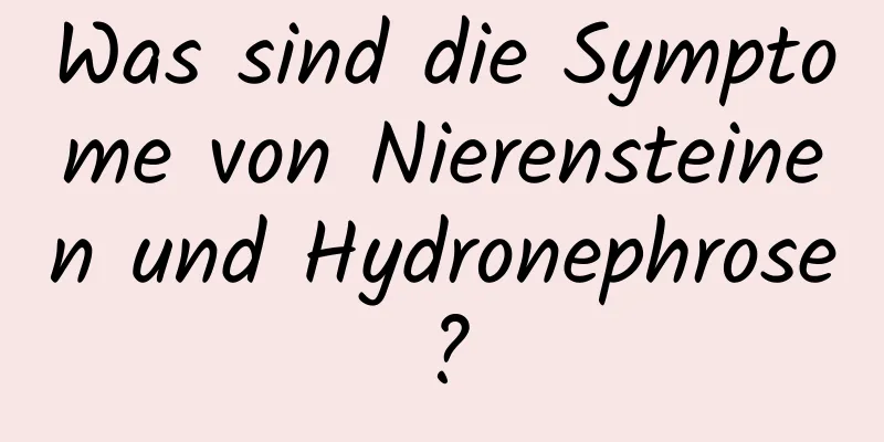 Was sind die Symptome von Nierensteinen und Hydronephrose?