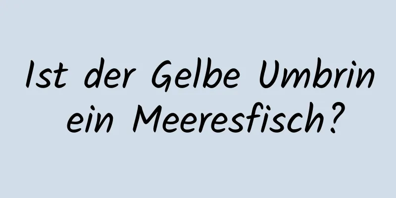 Ist der Gelbe Umbrin ein Meeresfisch?