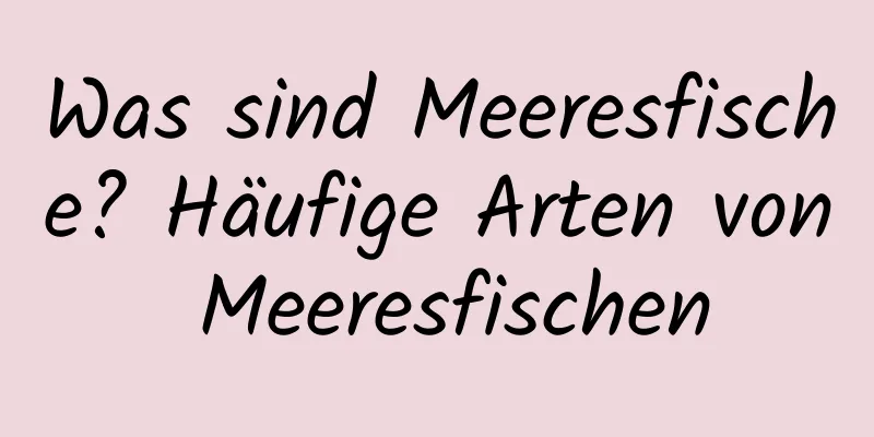 Was sind Meeresfische? Häufige Arten von Meeresfischen