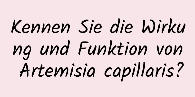 Kennen Sie die Wirkung und Funktion von Artemisia capillaris?