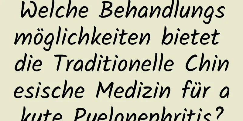 Welche Behandlungsmöglichkeiten bietet die Traditionelle Chinesische Medizin für akute Pyelonephritis?
