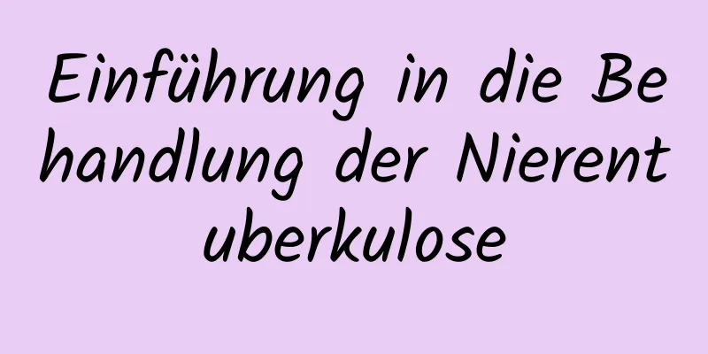 Einführung in die Behandlung der Nierentuberkulose