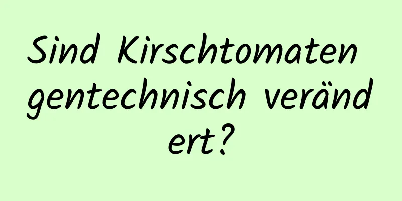 Sind Kirschtomaten gentechnisch verändert?