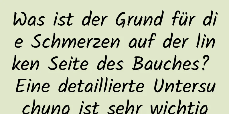 Was ist der Grund für die Schmerzen auf der linken Seite des Bauches? Eine detaillierte Untersuchung ist sehr wichtig