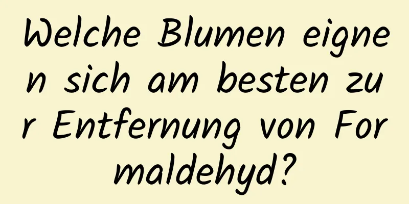 Welche Blumen eignen sich am besten zur Entfernung von Formaldehyd?