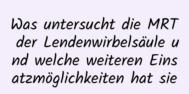 Was untersucht die MRT der Lendenwirbelsäule und welche weiteren Einsatzmöglichkeiten hat sie