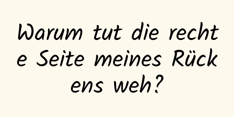 Warum tut die rechte Seite meines Rückens weh?