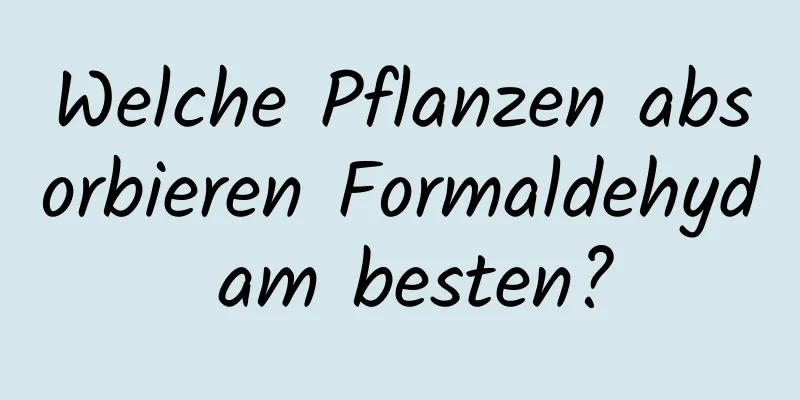 Welche Pflanzen absorbieren Formaldehyd am besten?