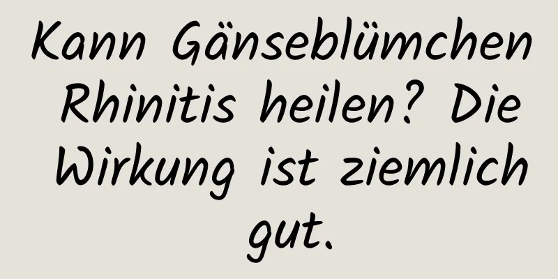 Kann Gänseblümchen Rhinitis heilen? Die Wirkung ist ziemlich gut.