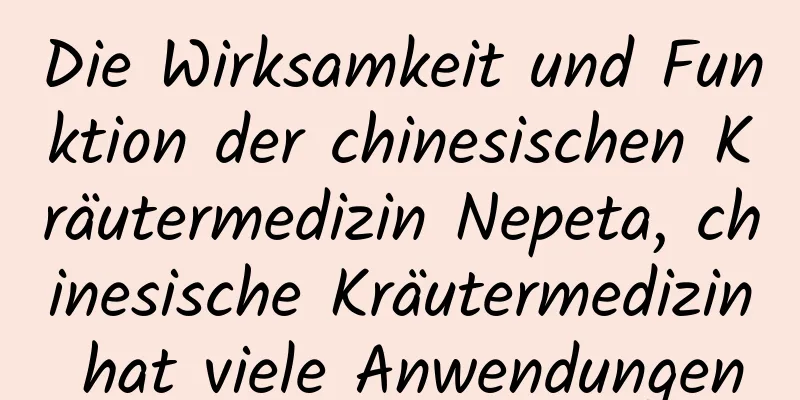 Die Wirksamkeit und Funktion der chinesischen Kräutermedizin Nepeta, chinesische Kräutermedizin hat viele Anwendungen