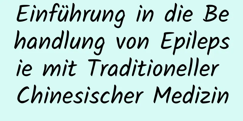 Einführung in die Behandlung von Epilepsie mit Traditioneller Chinesischer Medizin