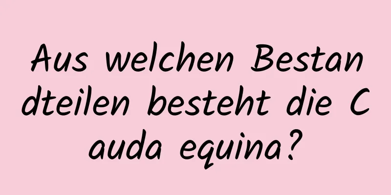 Aus welchen Bestandteilen besteht die Cauda equina?
