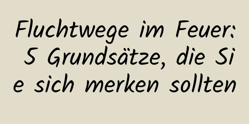 Fluchtwege im Feuer: 5 Grundsätze, die Sie sich merken sollten
