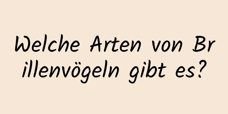 Welche Arten von Brillenvögeln gibt es?