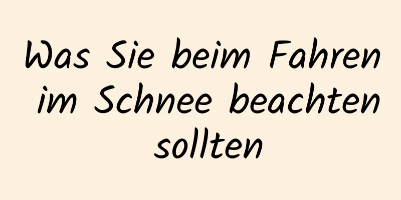Was Sie beim Fahren im Schnee beachten sollten