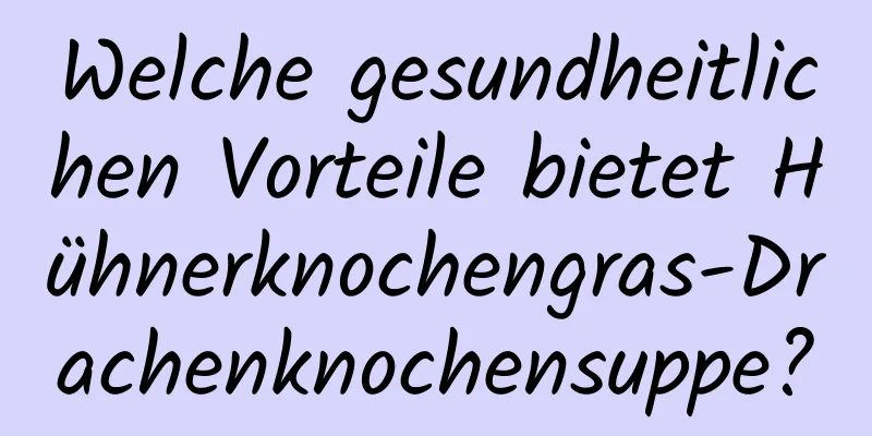 Welche gesundheitlichen Vorteile bietet Hühnerknochengras-Drachenknochensuppe?