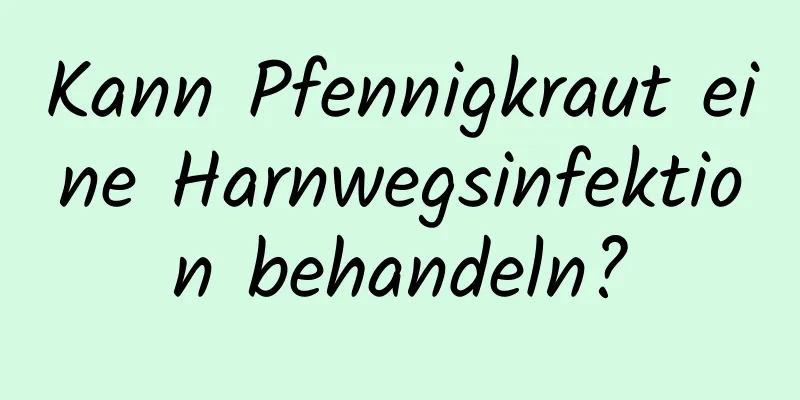 Kann Pfennigkraut eine Harnwegsinfektion behandeln?