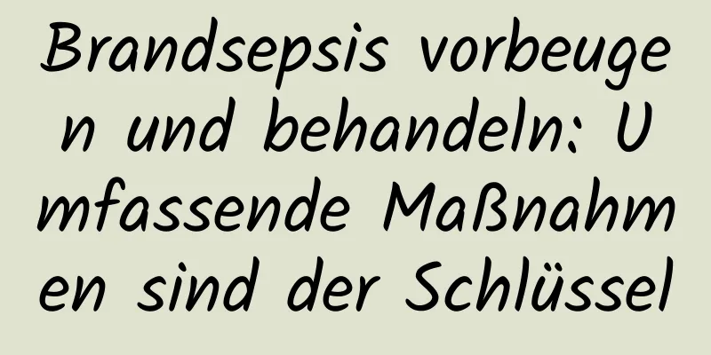 Brandsepsis vorbeugen und behandeln: Umfassende Maßnahmen sind der Schlüssel