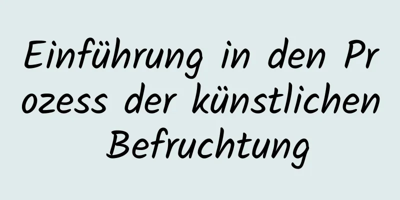 Einführung in den Prozess der künstlichen Befruchtung