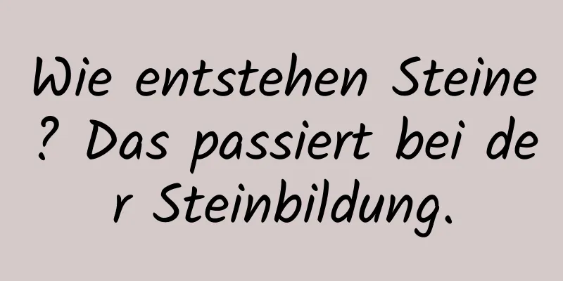 Wie entstehen Steine? Das passiert bei der Steinbildung.