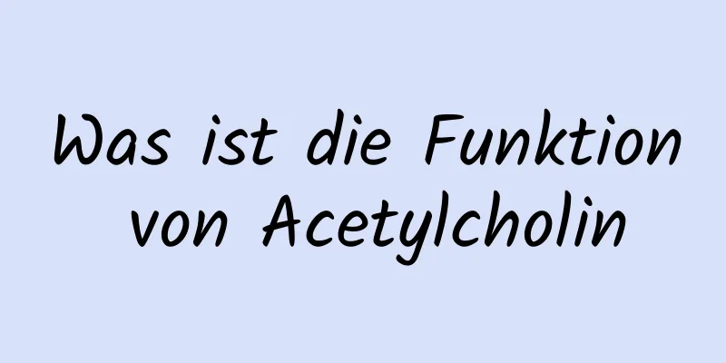 Was ist die Funktion von Acetylcholin