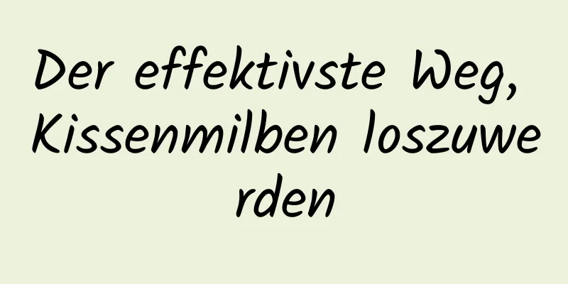 Der effektivste Weg, Kissenmilben loszuwerden