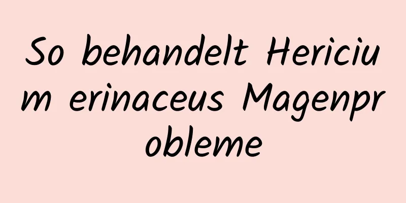 So behandelt Hericium erinaceus Magenprobleme