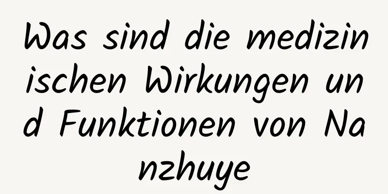 Was sind die medizinischen Wirkungen und Funktionen von Nanzhuye