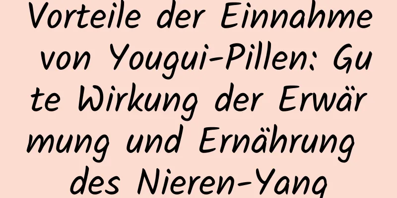 Vorteile der Einnahme von Yougui-Pillen: Gute Wirkung der Erwärmung und Ernährung des Nieren-Yang