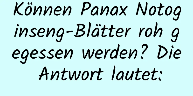 Können Panax Notoginseng-Blätter roh gegessen werden? Die Antwort lautet: