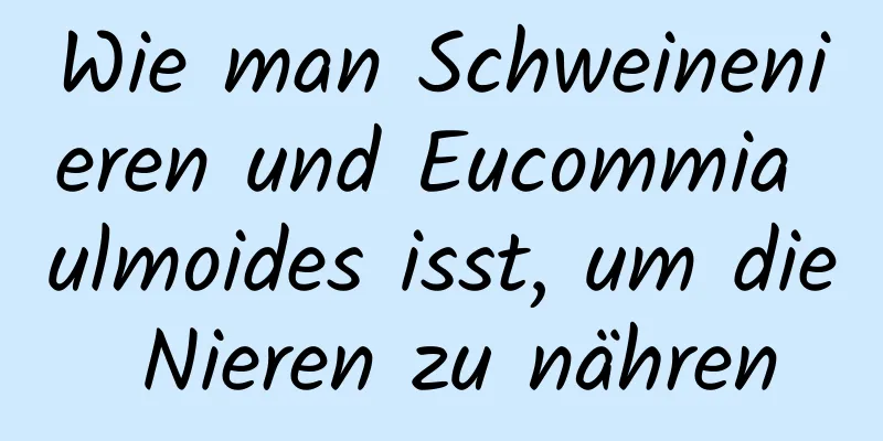 Wie man Schweinenieren und Eucommia ulmoides isst, um die Nieren zu nähren