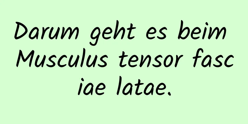 Darum geht es beim Musculus tensor fasciae latae.