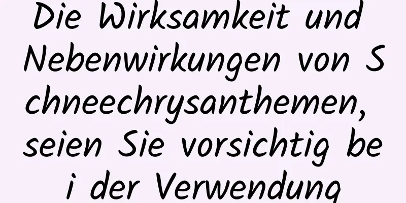 Die Wirksamkeit und Nebenwirkungen von Schneechrysanthemen, seien Sie vorsichtig bei der Verwendung