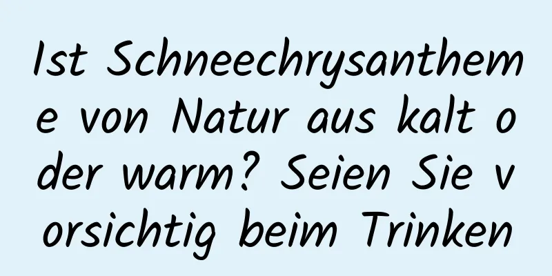 Ist Schneechrysantheme von Natur aus kalt oder warm? Seien Sie vorsichtig beim Trinken