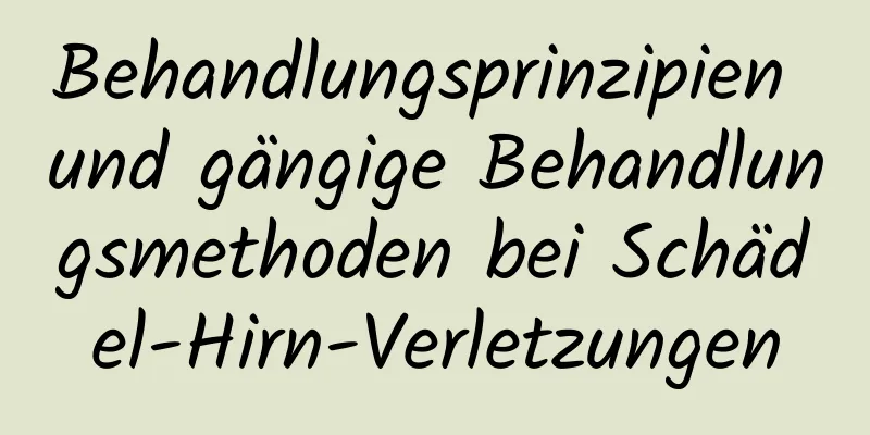 Behandlungsprinzipien und gängige Behandlungsmethoden bei Schädel-Hirn-Verletzungen