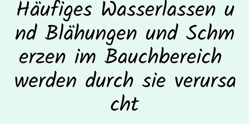 Häufiges Wasserlassen und Blähungen und Schmerzen im Bauchbereich werden durch sie verursacht