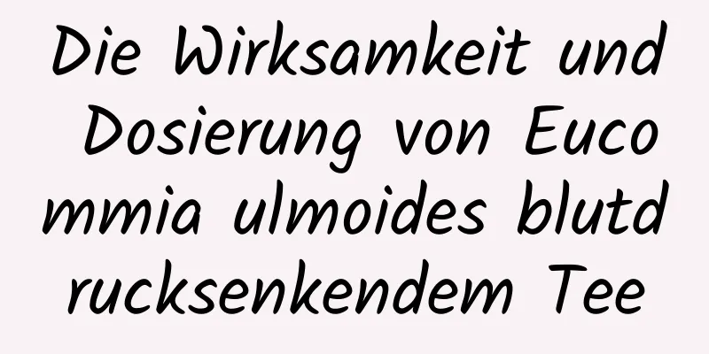 Die Wirksamkeit und Dosierung von Eucommia ulmoides blutdrucksenkendem Tee