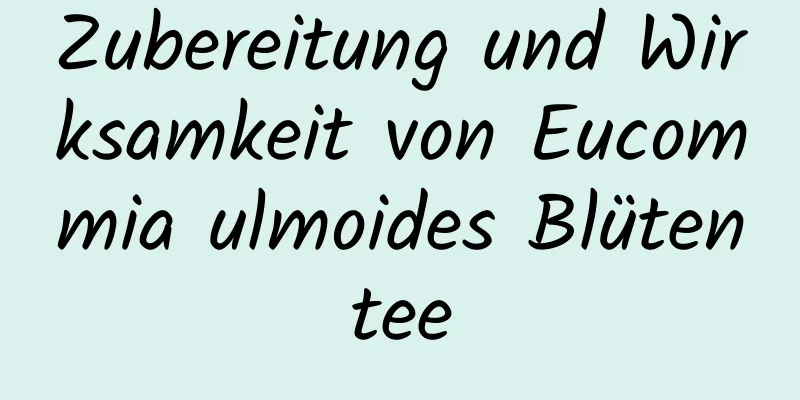 Zubereitung und Wirksamkeit von Eucommia ulmoides Blütentee