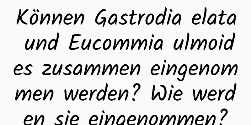 Können Gastrodia elata und Eucommia ulmoides zusammen eingenommen werden? Wie werden sie eingenommen?