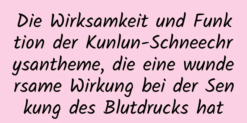 Die Wirksamkeit und Funktion der Kunlun-Schneechrysantheme, die eine wundersame Wirkung bei der Senkung des Blutdrucks hat