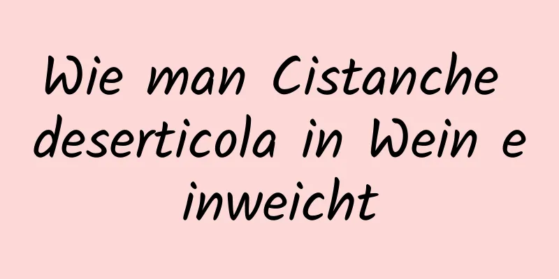 Wie man Cistanche deserticola in Wein einweicht