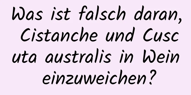 Was ist falsch daran, Cistanche und Cuscuta australis in Wein einzuweichen?