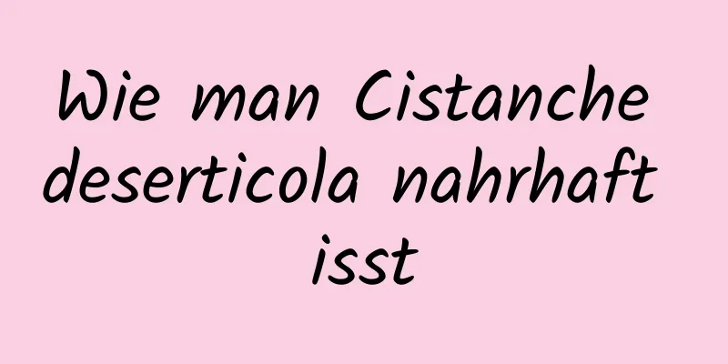 Wie man Cistanche deserticola nahrhaft isst