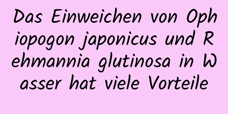 Das Einweichen von Ophiopogon japonicus und Rehmannia glutinosa in Wasser hat viele Vorteile