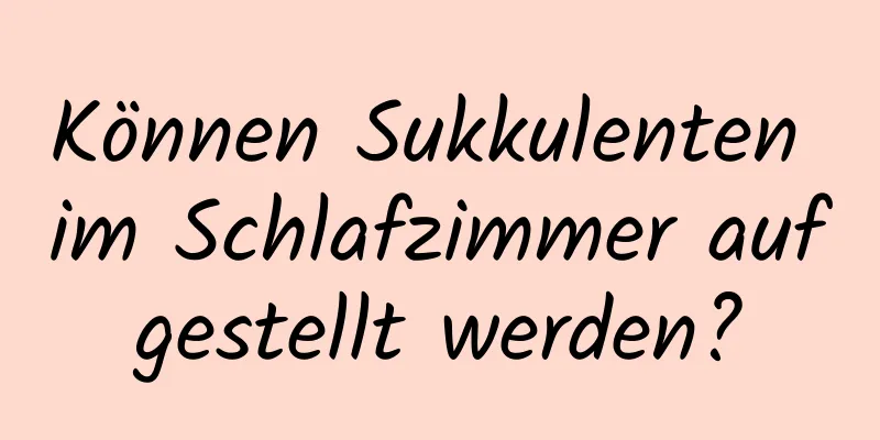 Können Sukkulenten im Schlafzimmer aufgestellt werden?